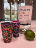 Hand painted Shot Glass