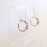 Infinity Knot Hoops